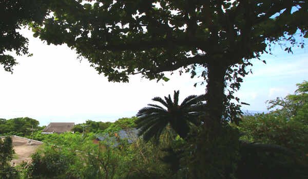 当館からの景色です。自然がいっぱい!