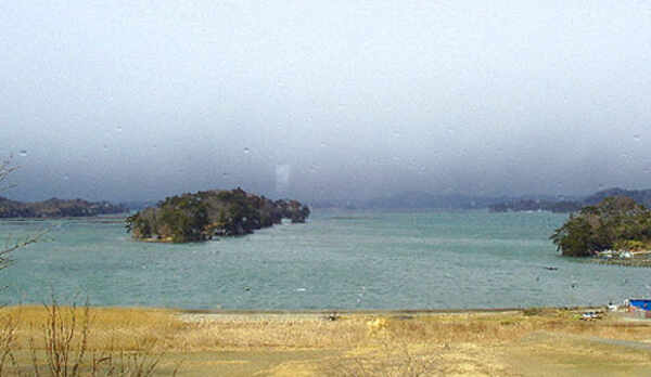 近くの浜辺 2010