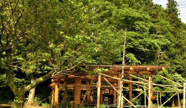 屋外バーベキュー