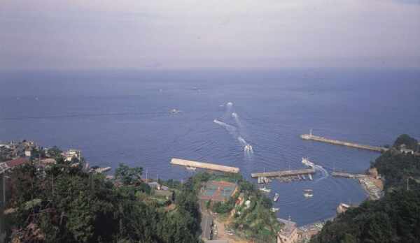 秀丸花ごころからの眺め&hellip;