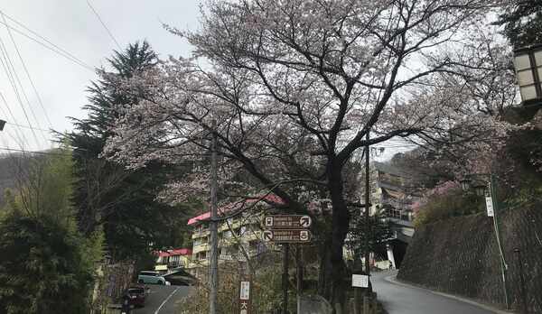 逆境にも負けず2020.春