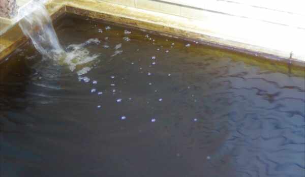 亀山温泉のお風呂