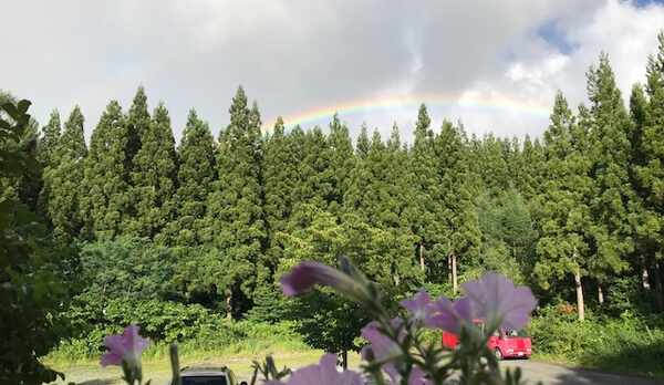 ルームからの風景（共同駐車場）