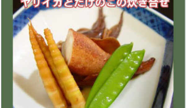 季節のお料理（ヤリイカとたけのこの炊き合わせ）