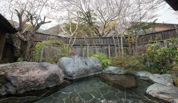 *露天風呂/春は目の前の桜の木を見ながらの花見露天がとってもおすすめ。絵のような美しさが広がります