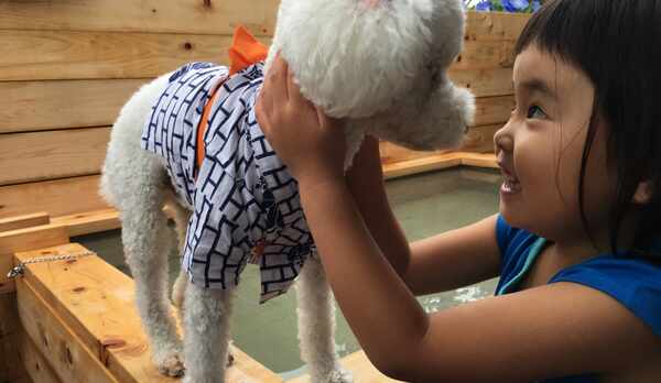 わぁ楽しそう！