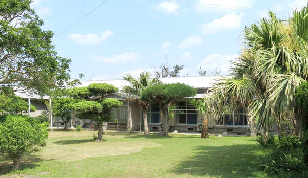 ・南国ムードが漂う宿の庭