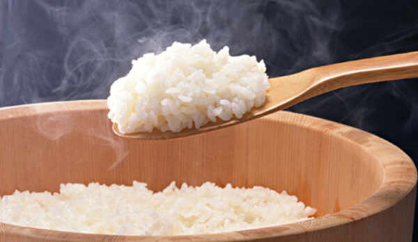 魚沼産こしひかり