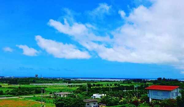 お部屋からの景色