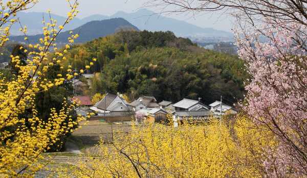 春の花に彩られる明日香村