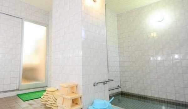 男女別大浴場（アトミックカーボン風呂）