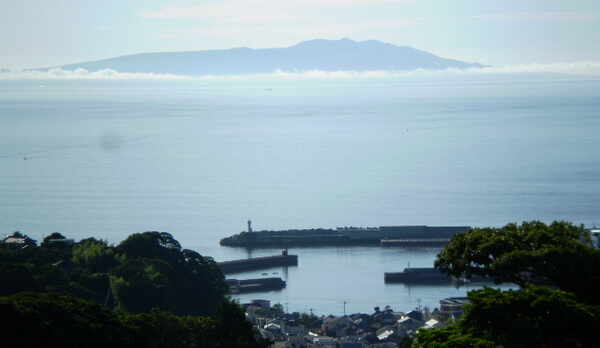 客室から望む伊豆大島