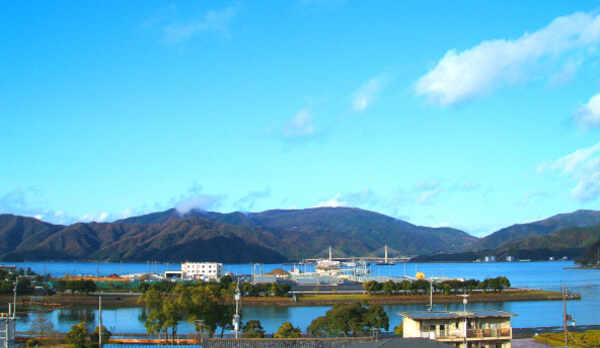 ツイン客室からの景色