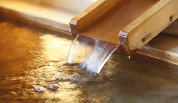 102号室【山桜の間】温泉付き和室