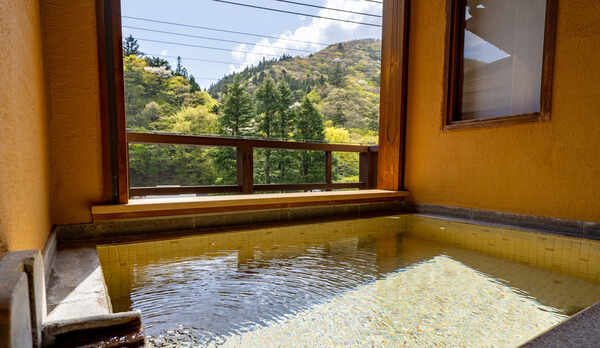 露天風呂付き客室【花】の温泉