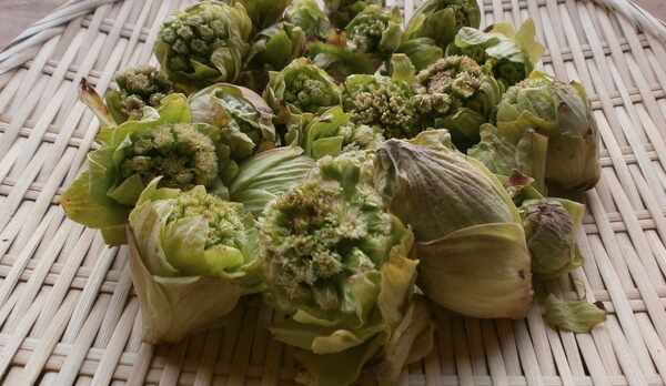 *本格的ハーブバスで、季節別、昼夜別に、独自にハーブを調合