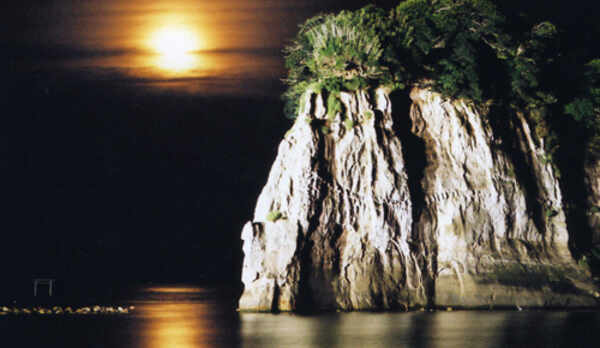 夜はライトアップされて、幻想的に。