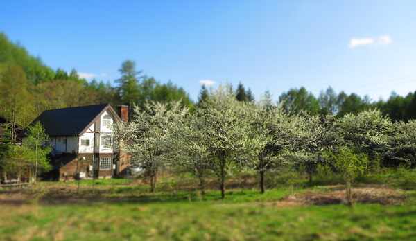春のペンション　ウインズ