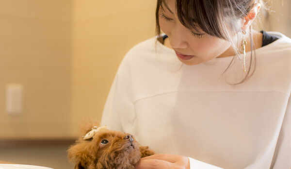 愛犬とお部屋で寛ぐ2