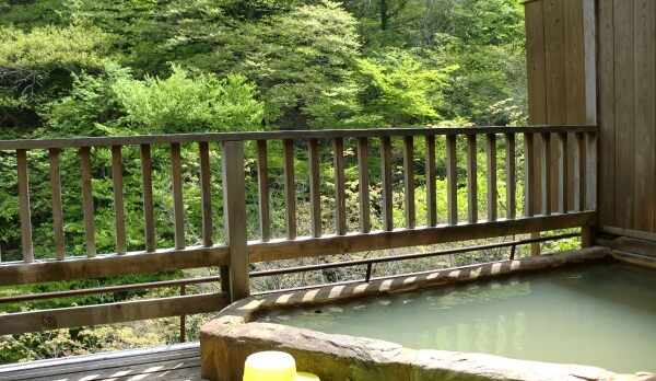 かもしかの湯　新緑