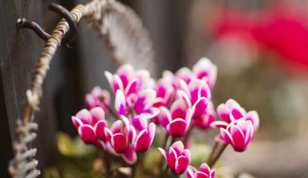 【館内イメージ】