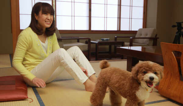 ◆【客室】わんちゃんと一緒にゆっくりお過ごしいただけます