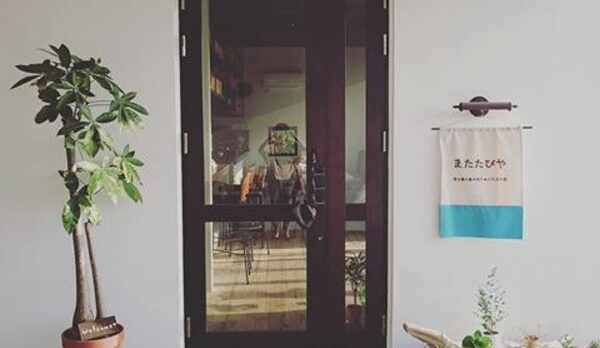 またたびやの入口