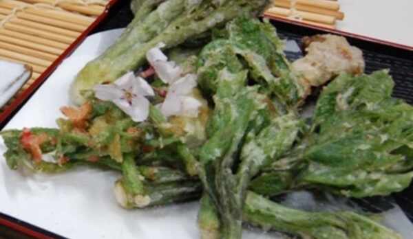 春山菜料理