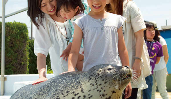 アザラシにタッチ♪