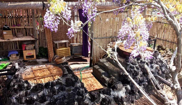 *五右衛門風呂/美しく咲いた藤の花にうっとり。