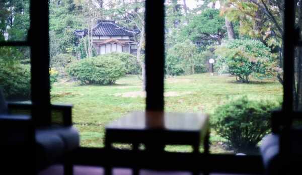 離れからの眺め