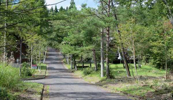 【コテージ周辺】