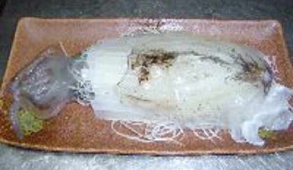 9月から11月限定アオリイカサービス！