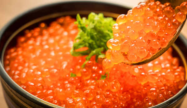 【イクラ丼】ご飯が隠れるほど贅沢にいくらを乗せたウトロ漁師のまかない飯&ldquo;いくら丼&rdquo;