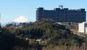 【眺望】天気の良い日は一部客室から富士山を拝めます