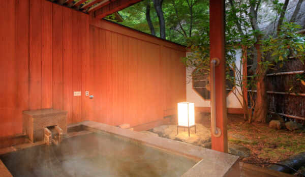 源泉掛け流し露天風呂付客室【和室10畳】