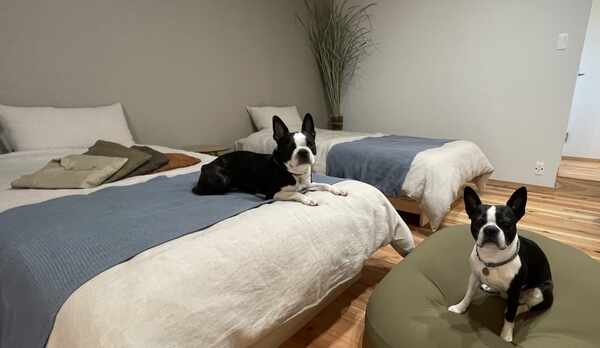 RK-ペットと泊まれる離れのお部屋-