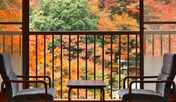 【秋/紅葉】新館客室からの紅葉風景（一例）