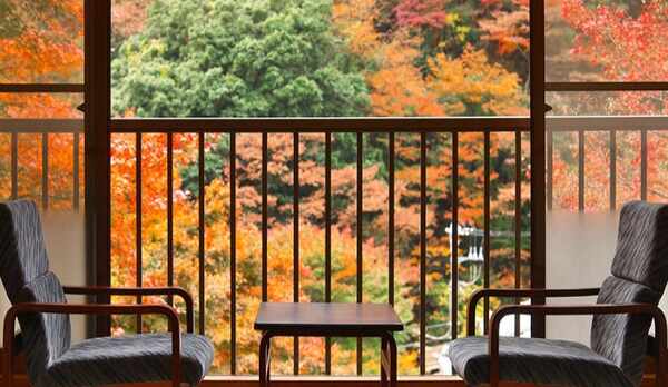 【秋/紅葉】新館客室からの紅葉風景（一例）