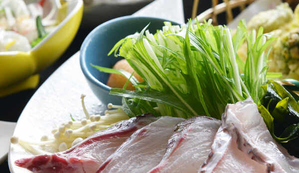 【桜鯛のしゃぶしゃぶ】桜鯛はその日の獲れたてでご用意致します！