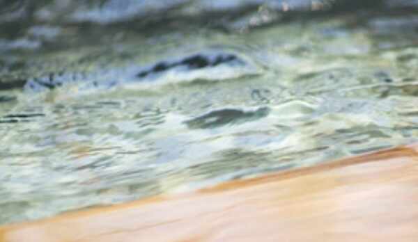 【山中温泉・泉質】