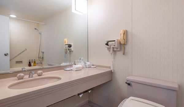 バスルーム 一例