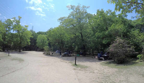 ・キャンプエリア：テントを設営して野外活動が楽しめます