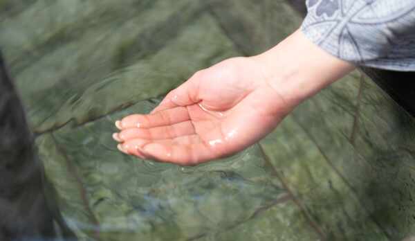 【もみじ館ーmomijiー】より効果効能を得るため、天然温泉をあえて廃止して造った鉱石風呂が人気