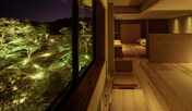 木と土壁の客室【沢乙】
