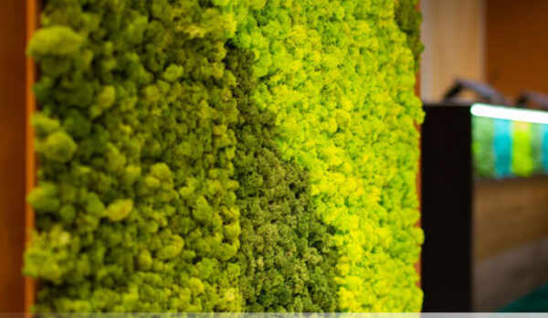 スタンダードルーム