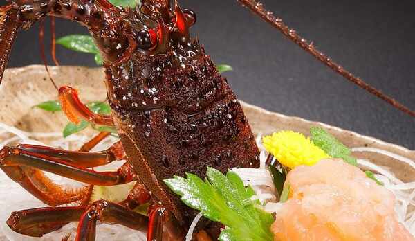 プリップリッの伊勢海老