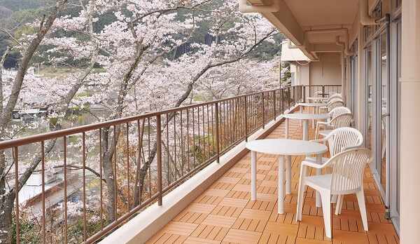 テラス　桜