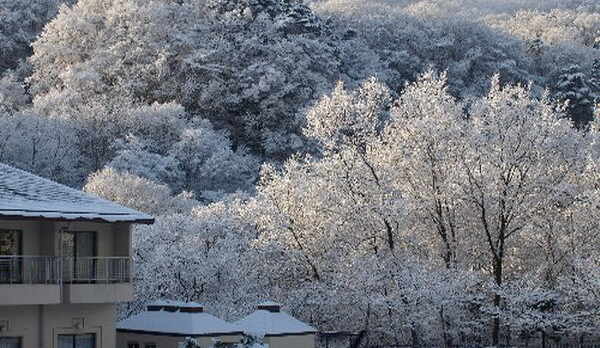 洋室タイプからの眺望（一面が銀世界になった冬の朝）