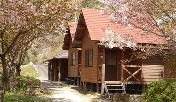 春にはきれいな桜が咲き乱れますよ♪